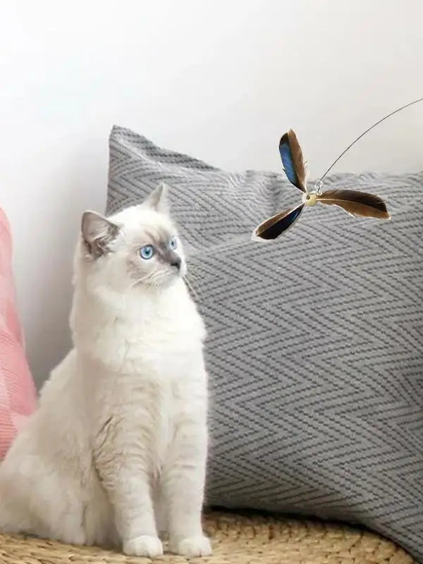 6PCS Cat Toys Feathers Wand Cat Wand Toy Refill Cat Teaser Toy Interactive Kitten Teaser Refill Rotating Cat Feathers Refill Toy