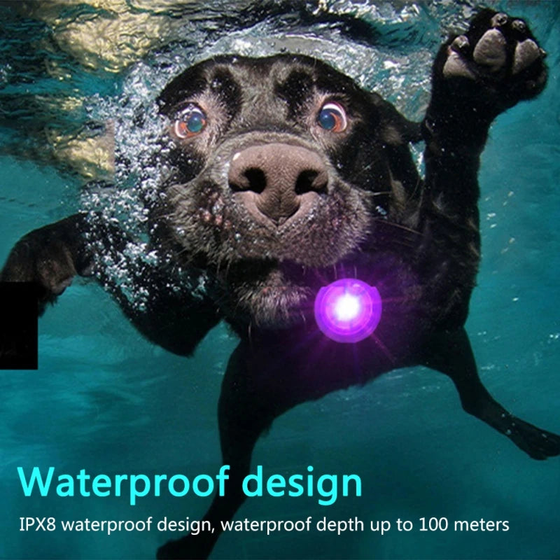 Led Dog Collar Pendant Rechargeable Pet Usb Luminous Collar Pendant Pet Flash Light Leash Accessories Safety Dog Necklace