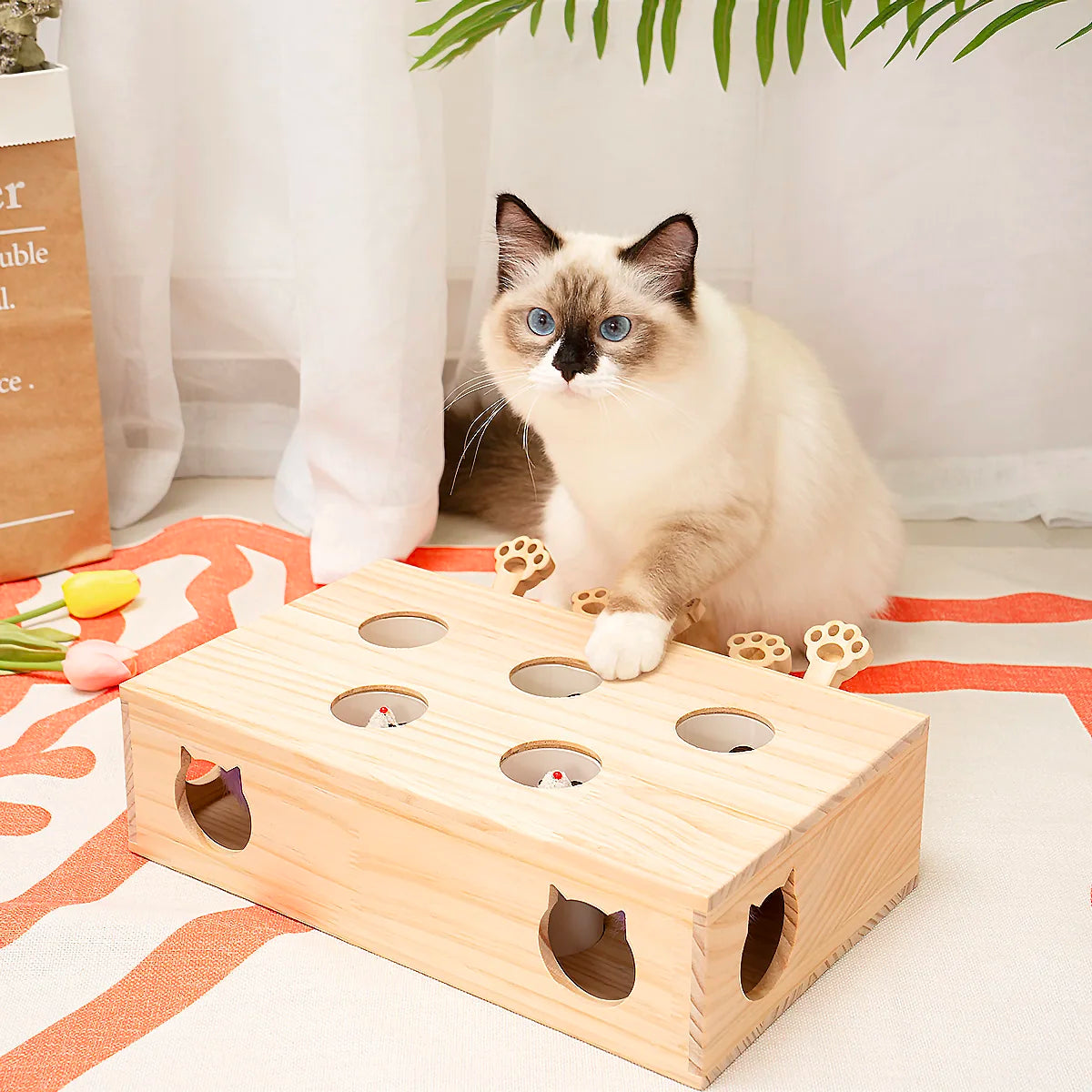 Mewoofun Cat Toys Interactive Whack-a-mole Solid Wood Toys for Indoor Cats Kitten Catch Mice Game