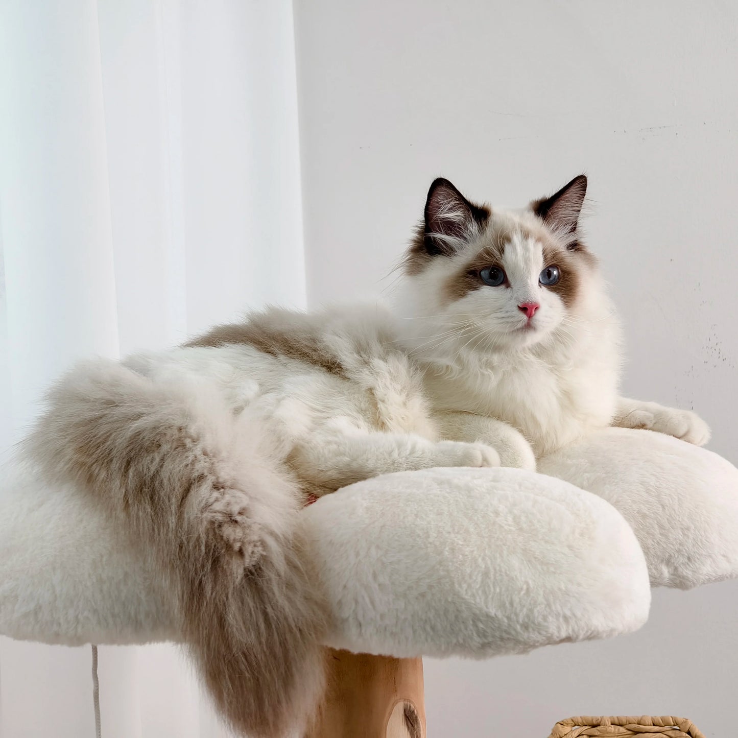 Willow Wood Cat Tree Scratching Post Multi-Level Sisal Pet Cat Kitten Climbing Tower Activity Tower with Removable Washable Mats