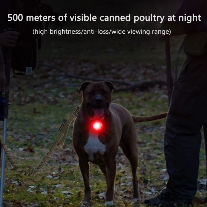 Led Dog Collar Pendant Rechargeable Pet Usb Luminous Collar Pendant Pet Flash Light Leash Accessories Safety Dog Necklace