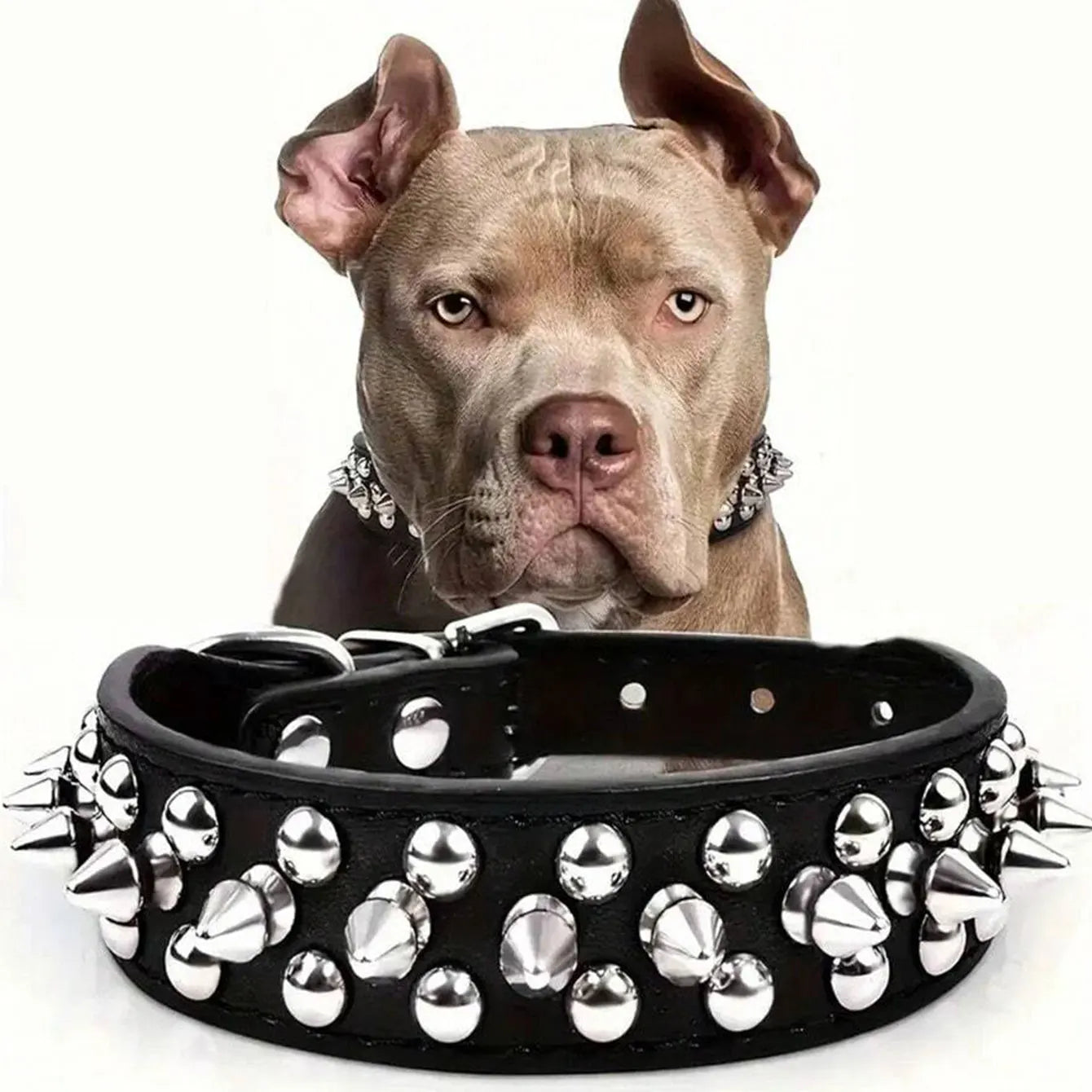 CP037--pet dog adjustable rivet collar, anti-bite neck protect collar used of durable PU leather and rust resistant metal rivet