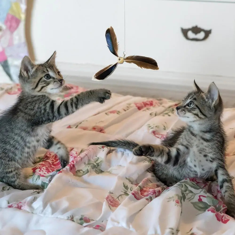 6PCS Cat Toys Feathers Wand Cat Wand Toy Refill Cat Teaser Toy Interactive Kitten Teaser Refill Rotating Cat Feathers Refill Toy