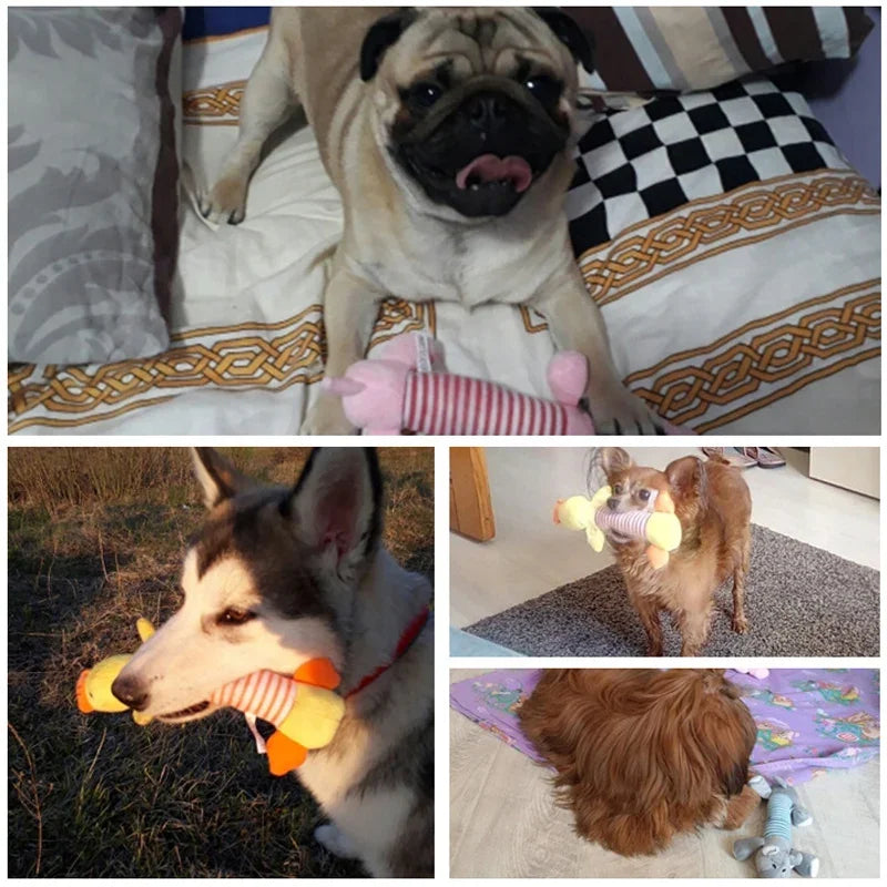 Pet Dog Cat Toy Teddy Blonde Sound Cute Funny Fleece Durability Chew Molar Toy Teething and Bite Resistant Products