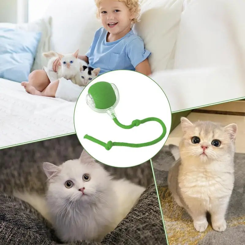 Interactive Dog Toys Rechargeable Pet Interactive Toys Electric Cats Ball Automatic Rolling Fake Tail Ball Dog Cats Toy