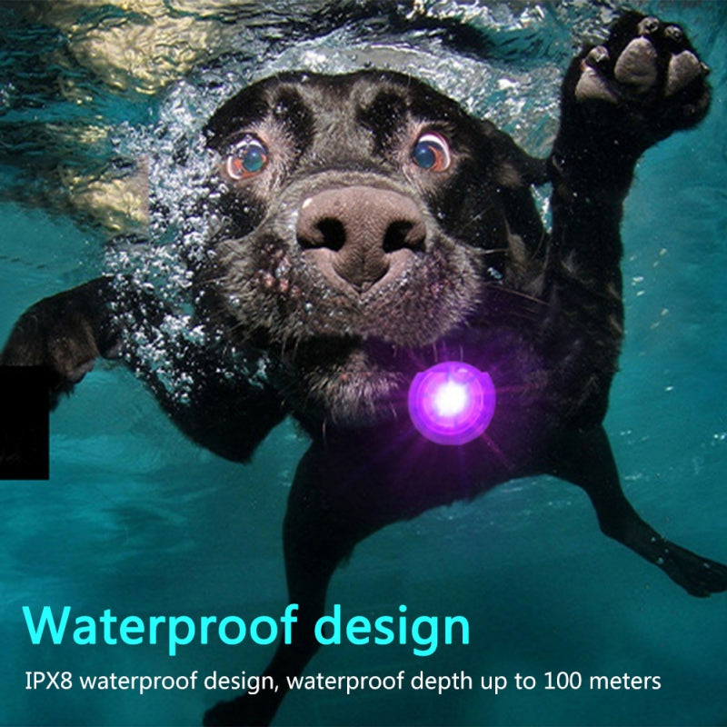 Led Dog Collar Pendant Rechargeable Pet Usb Luminous Collar Pendant Pet Flash Light Leash Accessories Safety Dog Necklace