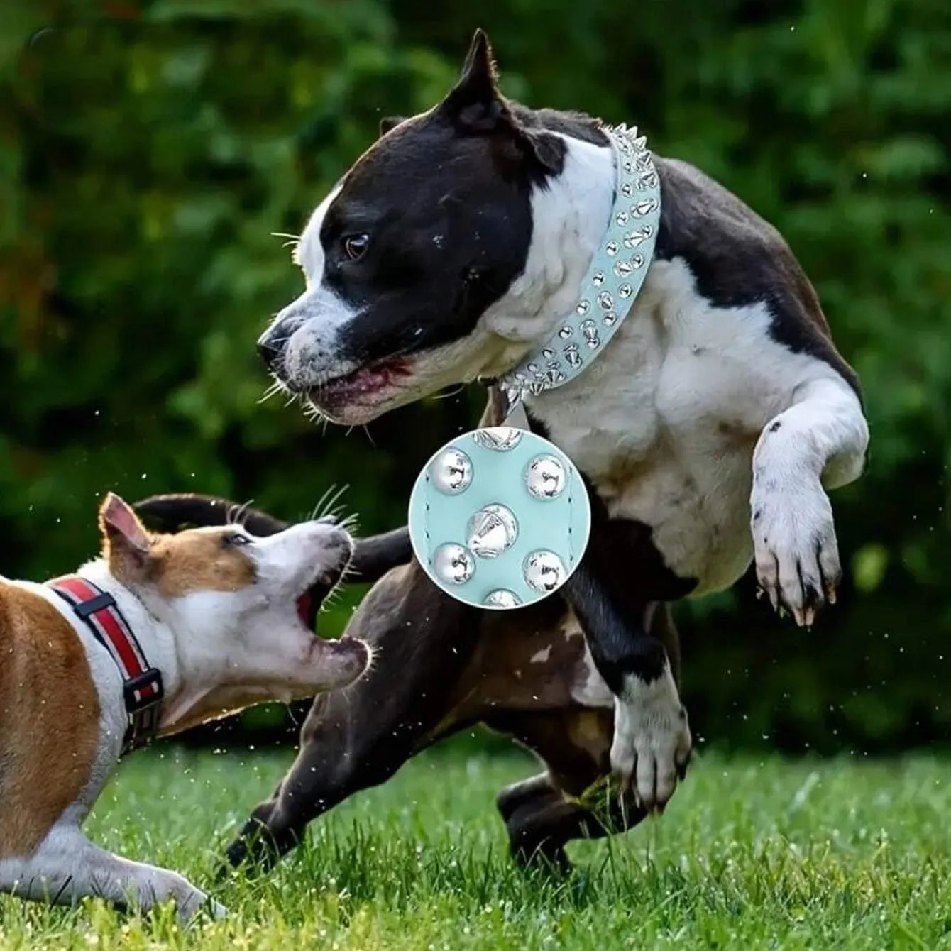 CP037--pet dog adjustable rivet collar, anti-bite neck protect collar used of durable PU leather and rust resistant metal rivet