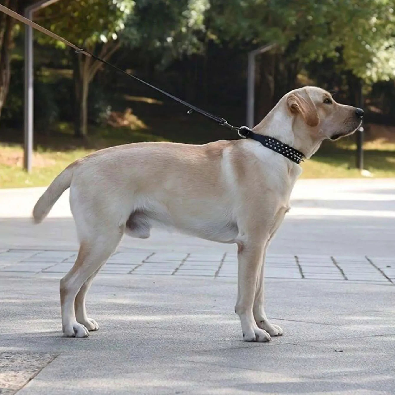 CP037--pet dog adjustable rivet collar, anti-bite neck protect collar used of durable PU leather and rust resistant metal rivet