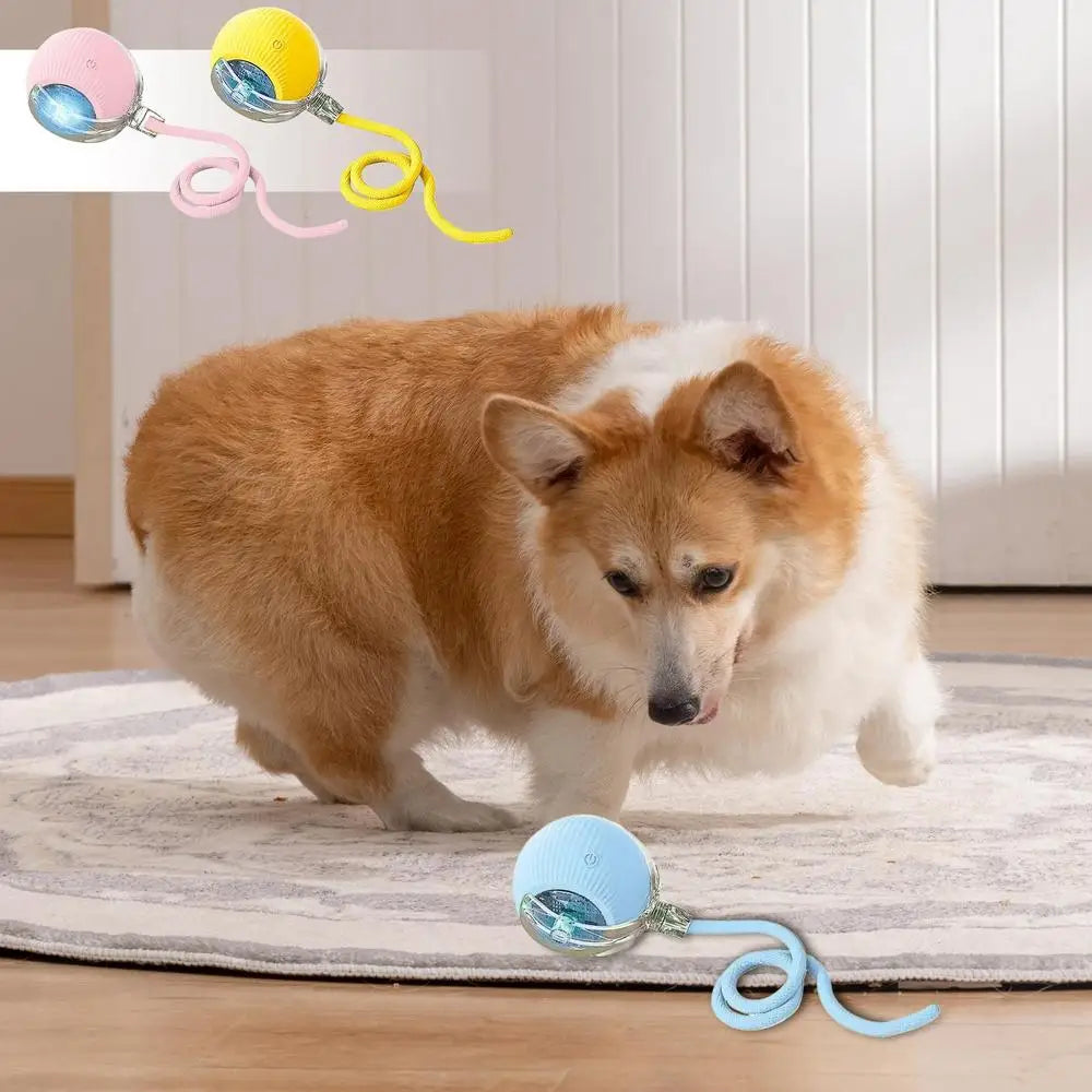 Automatic Rolling Ball Cat Interactive Ball Toy With Tail Rechargeable Smart Pet Interactive Toy Intelligent Mouses For Cat