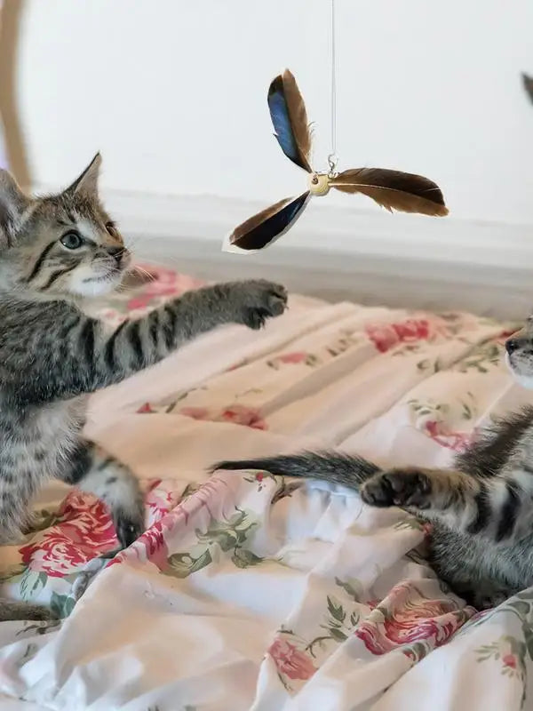 6PCS Cat Toys Feathers Wand Cat Wand Toy Refill Cat Teaser Toy Interactive Kitten Teaser Refill Rotating Cat Feathers Refill Toy