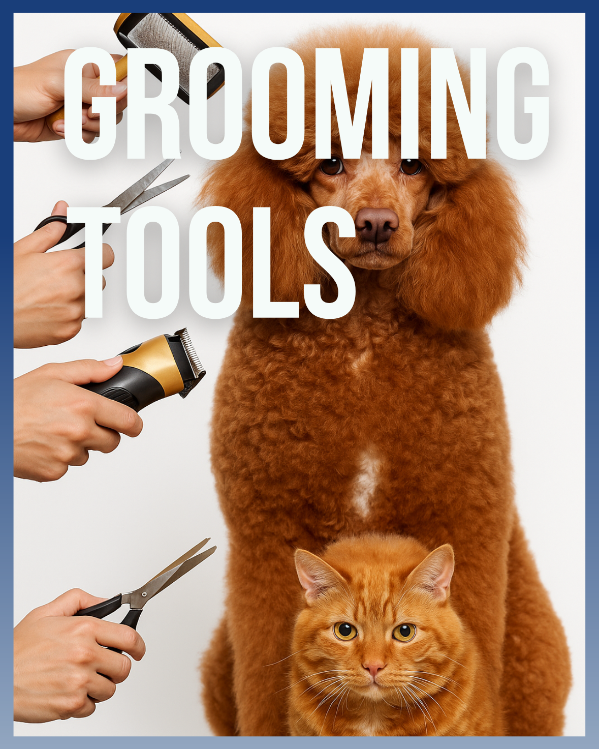 Grooming tools for cats and dogs including brush, nail clipper, and pet comb