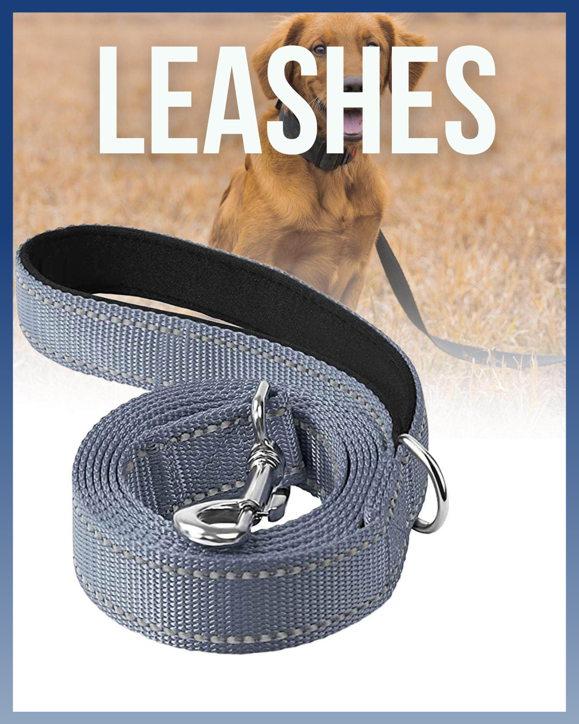 Durable dog and cat leashes including retractable, hands-free, and nylon