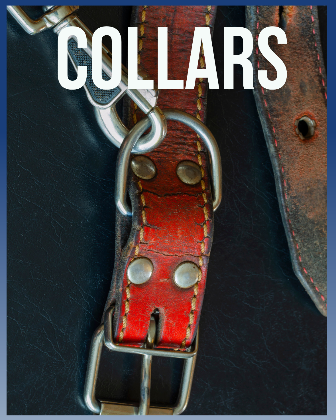 Dog and cat collars including personalized, LED, and leather pet collars