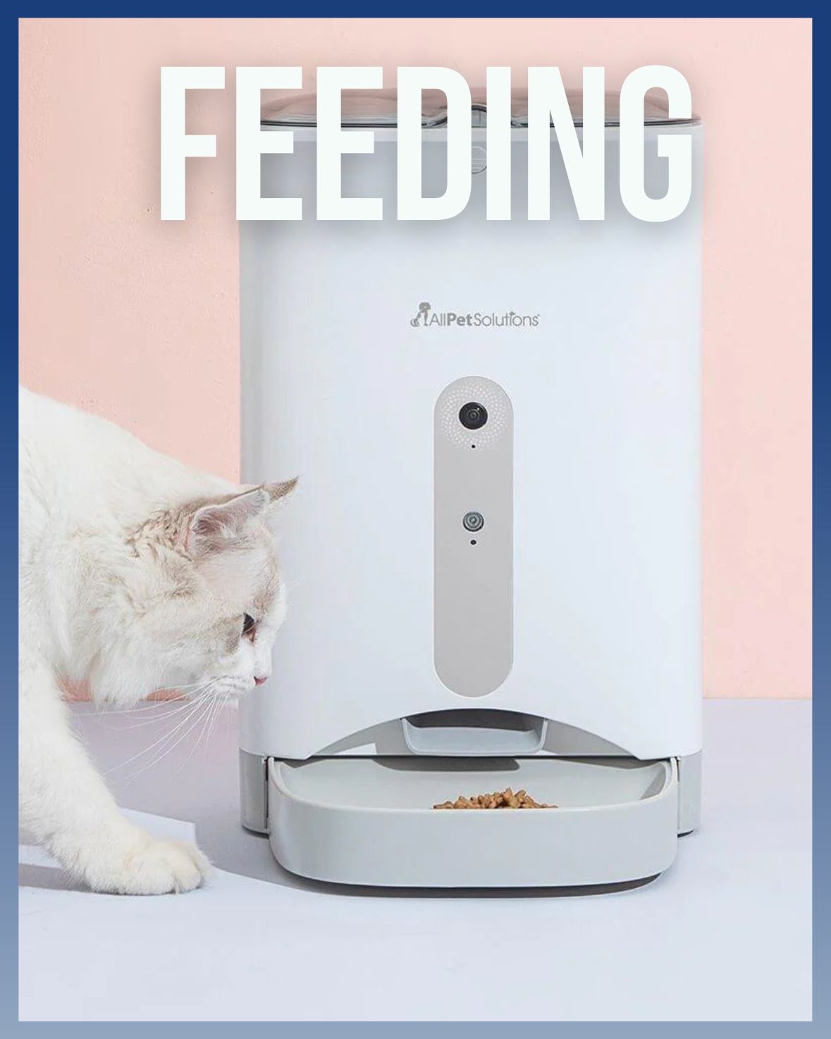 Pet feeders, bowls, and dispensers for cats and dogs – smart and spill-proof options