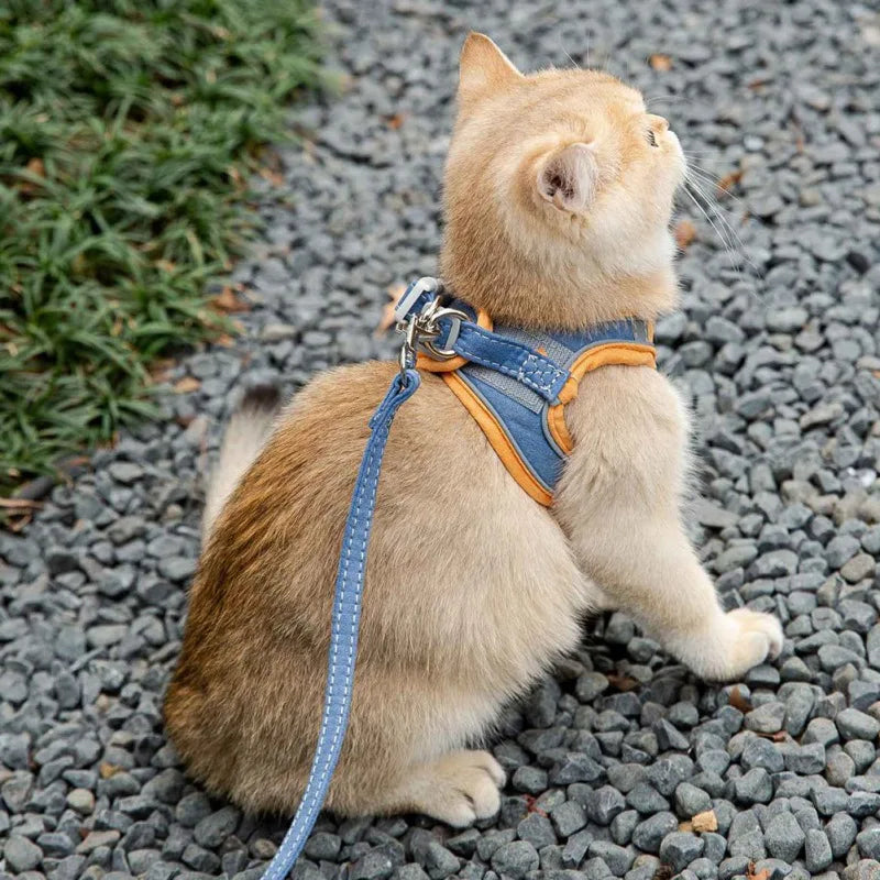 Cat Harness Leash Set for Chihuahua Accessories Dog Cat Vest Pug Leashes Walking Tools Walk Out Leads Products