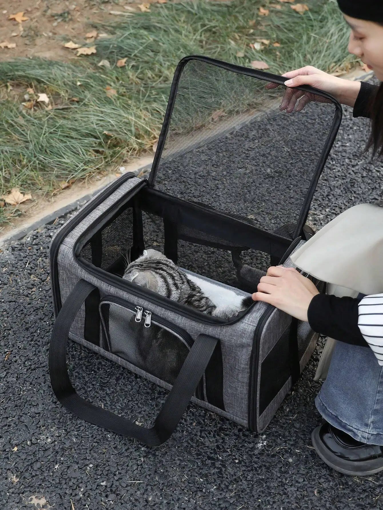 Pet Transport Bag, Suitable For Small Cats And Dogs Pet Travel Carrying Bag, Pet Out Bag, Cat Bag, Dog Bag