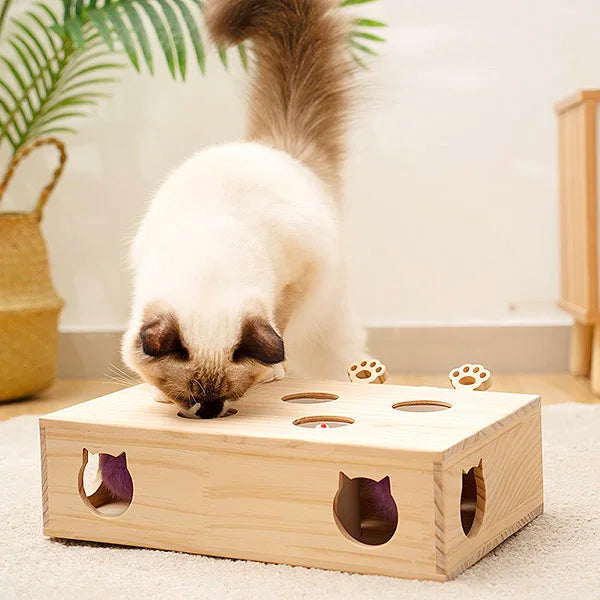 Mewoofun Cat Toys Interactive Whack-a-mole Solid Wood Toys for Indoor Cats Kitten Catch Mice Game