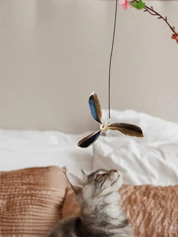6PCS Cat Toys Feathers Wand Cat Wand Toy Refill Cat Teaser Toy Interactive Kitten Teaser Refill Rotating Cat Feathers Refill Toy
