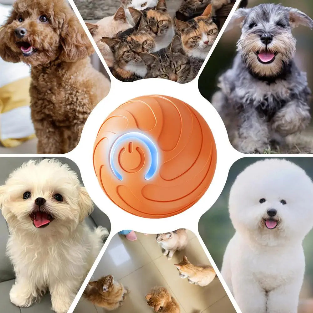 Smart Pet Toys Ball Electric Automatic Jumping Rolling Ball Interactive Game Rechargeable Moving Puppy Touch Activated Toy