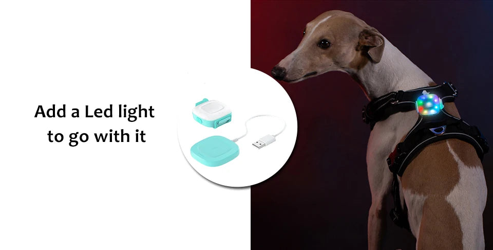 Truelove Pet Harness Nylon Webbing with 3M Reflection Adjutable Aluminum Alloy for Big Medium Small Dog TLH56512