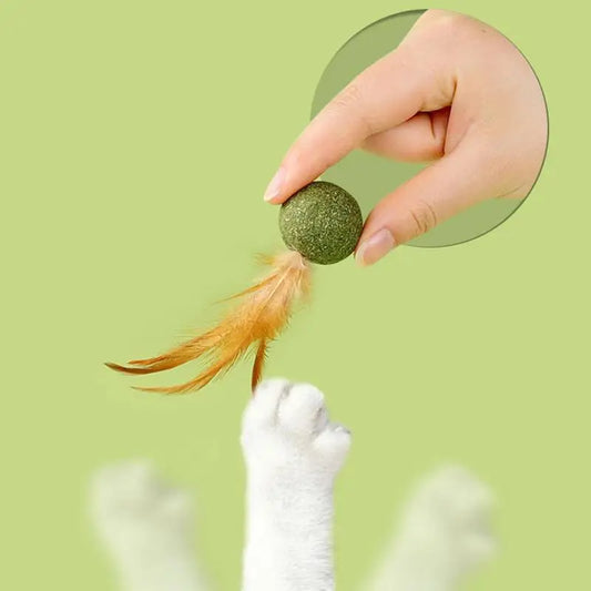 Cat Toys Catnip Kitten Catnip Feather Ball Interactive Natural Lollipop Natural Cat Kicker Feathers Design Cat Teeth Cleaning