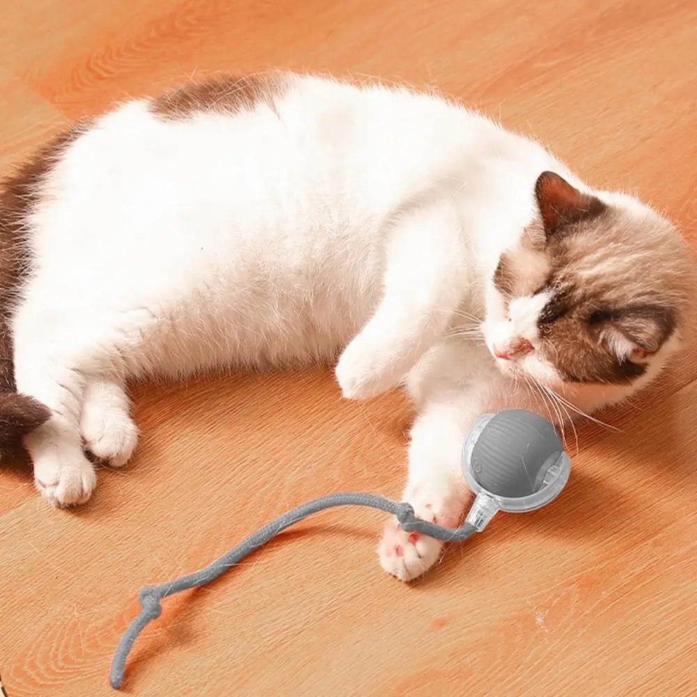 Interactive Dog Toys Rechargeable Pet Interactive Toys Electric Cats Ball Automatic Rolling Fake Tail Ball Dog Cats Toy