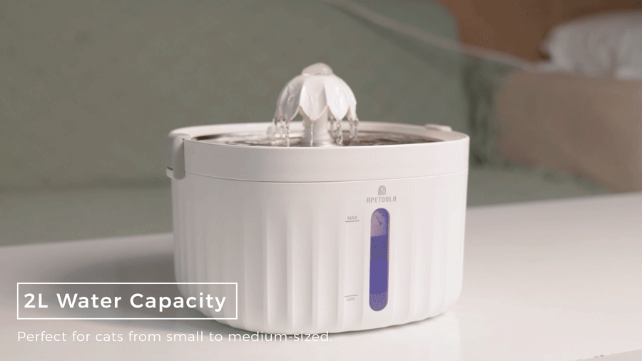 APETDOLA Cat Water Fountain Automatic Pet Water Dispenser for Cats Dogs with Stainless Steel Tray 6-level Filtering System fp10