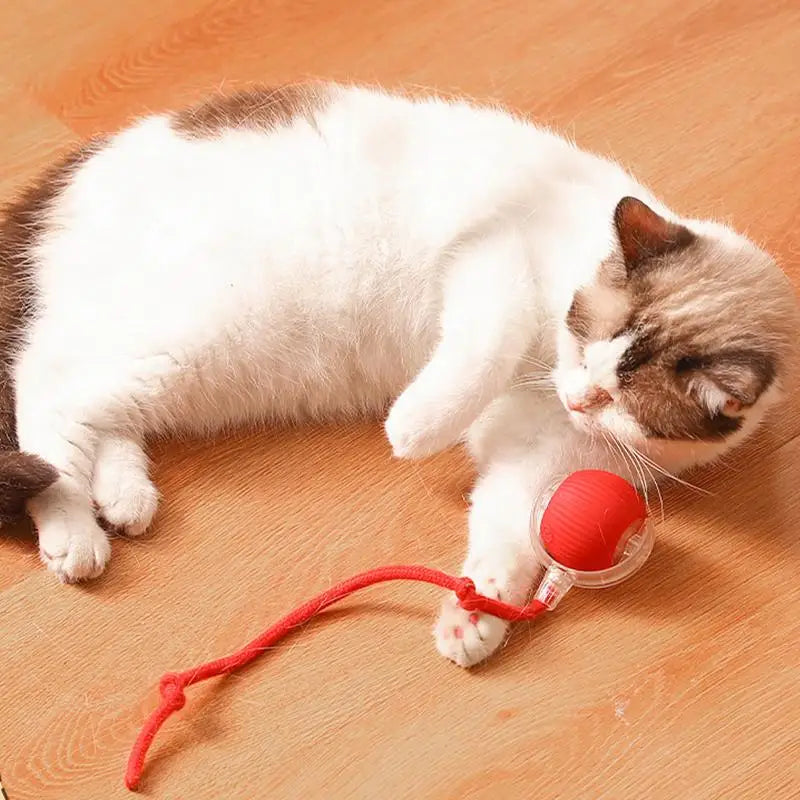Interactive Dog Toys Rechargeable Pet Interactive Toys Electric Cats Ball Automatic Rolling Fake Tail Ball Dog Cats Toy