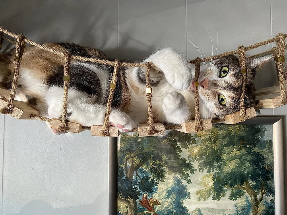 39.4In Wall-mounted Cat Roped Bridge for Indoor Cats Steps with Sisal Wall Wooden Furniture for Sleeping Playing Climbing