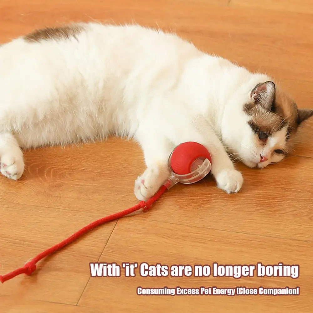 Interactive Dog Toys Rechargeable Pet Interactive Toys Electric Cats Ball Automatic Rolling Fake Tail Ball Dog Cats Toy