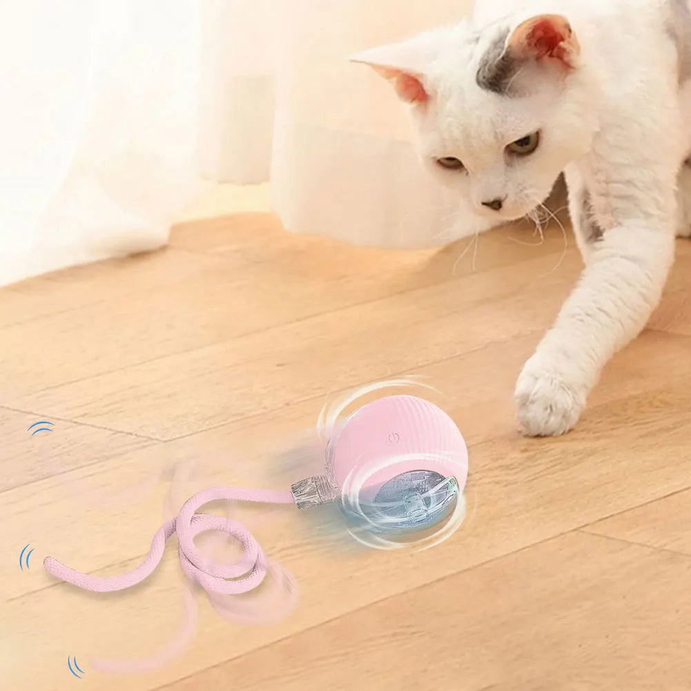 Interactive Cat Toy Ball USB Rechargeable Automatic Rolling Ball Funny Cat Toys Anti-Depression Pet Toy for Indoor Cat Kitten