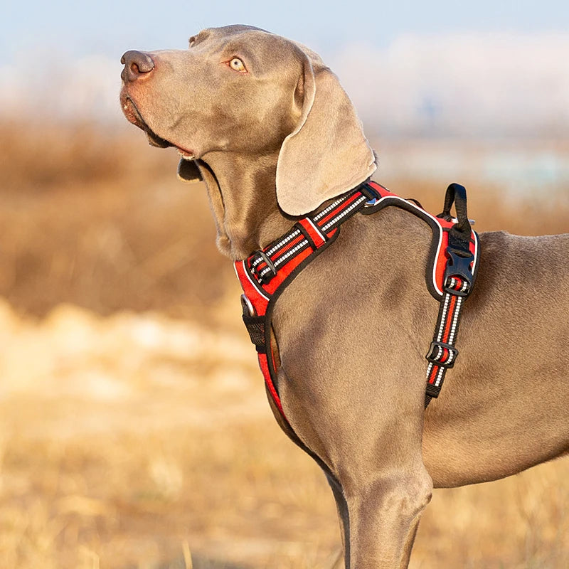 Truelove Pet Harness Nylon Webbing with 3M Reflection Adjutable Aluminum Alloy for Big Medium Small Dog TLH56512