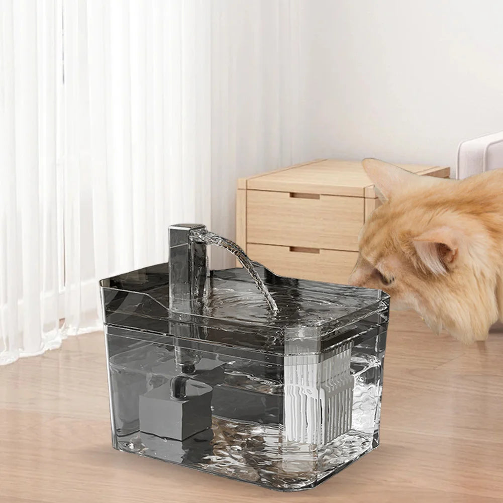 Cat Water Fountain Auto Filter Transparent Cat Drinker USB Anti-Dry Burning Recirculate Filtering Water Dispenser with Pump