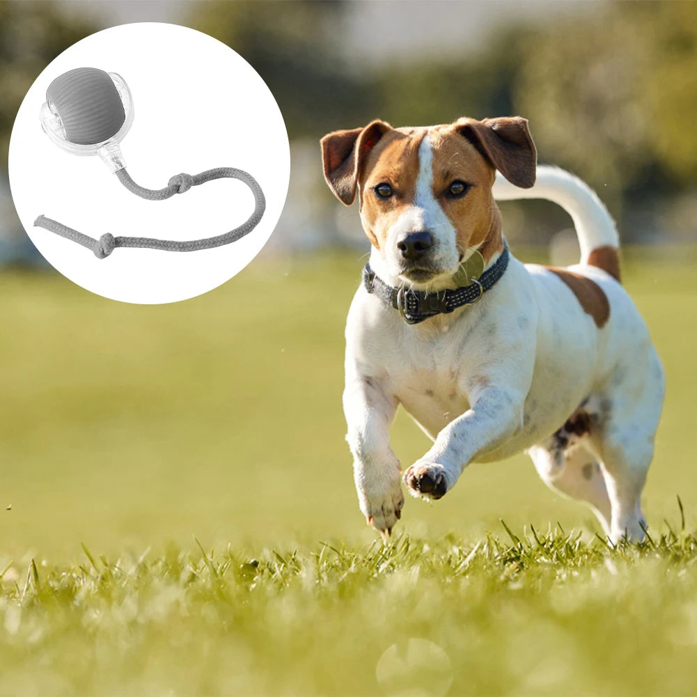 1/2PCS Cat Interactive Ball Toy Automatic Rolling Ball Faux Tail Rechargeable Smart Pet Electric Dog Cat Training Imitate Mouse