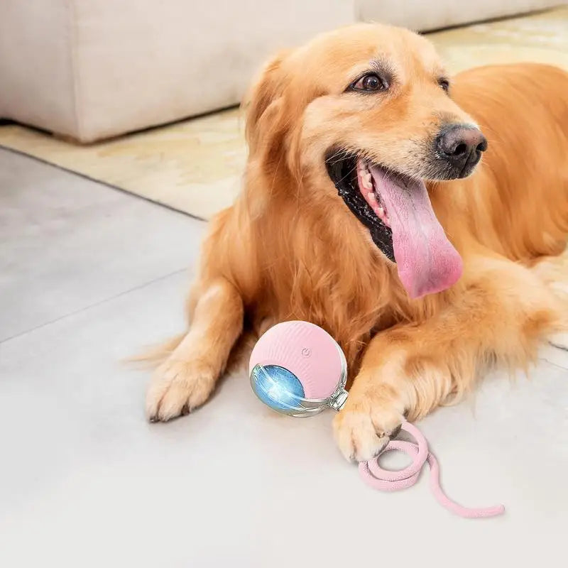 Automatic Rolling Ball Cat Interactive Ball Toy With Tail Rechargeable Smart Pet Interactive Toy Intelligent Mouses For Cat