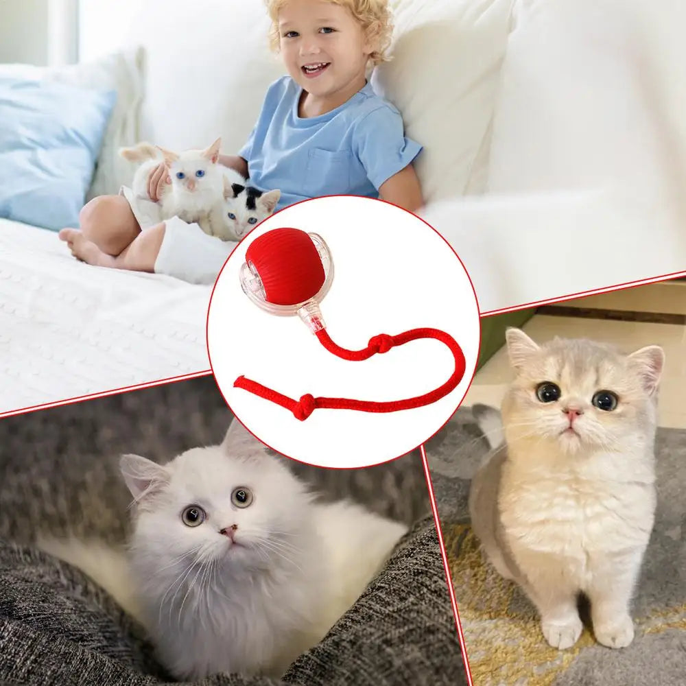 Interactive Dog Toys Rechargeable Pet Interactive Toys Electric Cats Ball Automatic Rolling Fake Tail Ball Dog Cats Toy