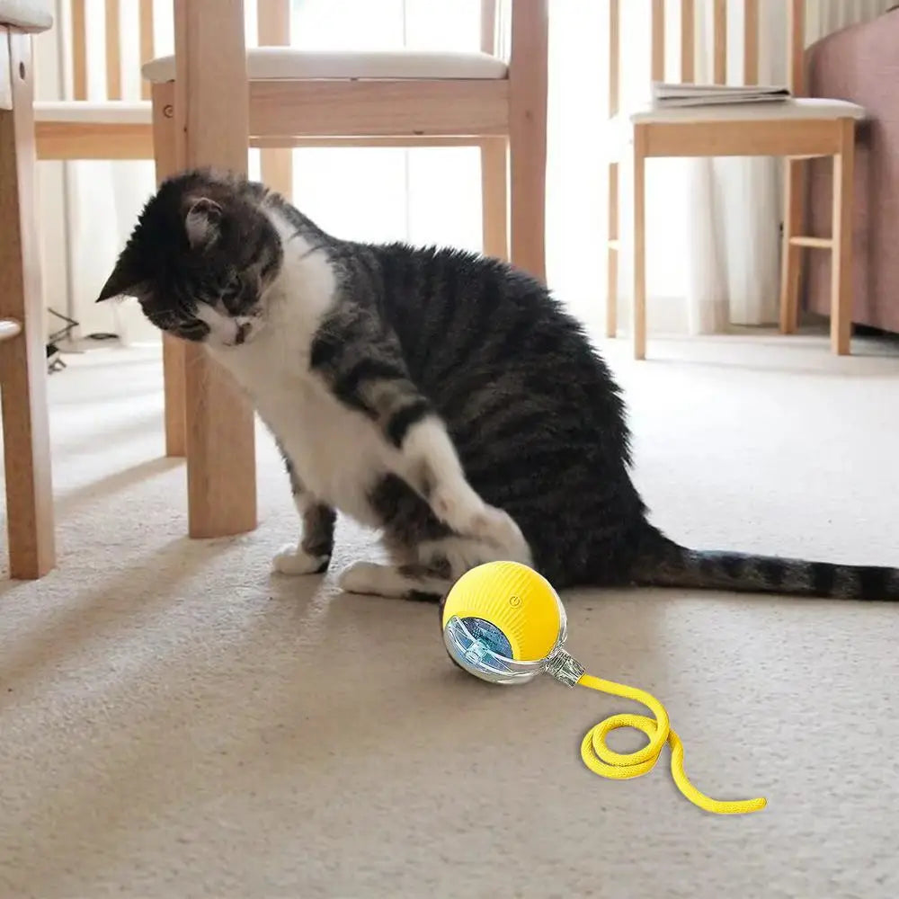 Automatic Rolling Ball Cat Interactive Ball Toy With Tail Rechargeable Smart Pet Interactive Toy Intelligent Mouses For Cat