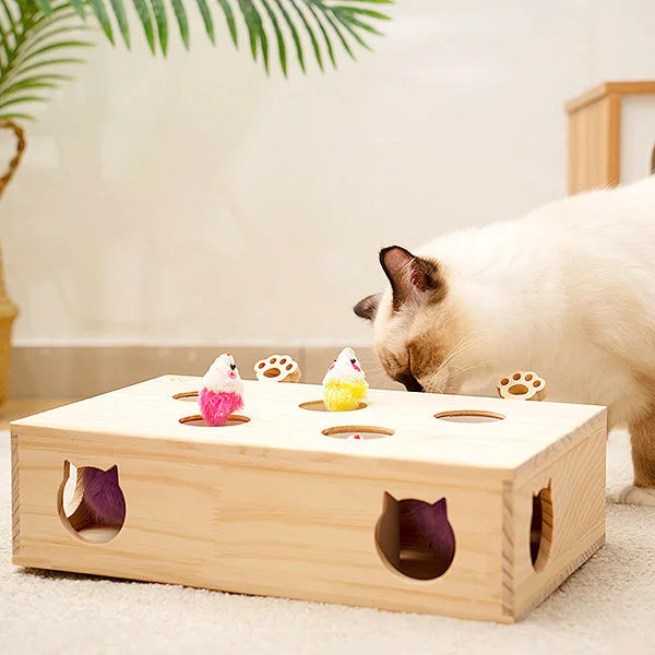 Mewoofun Cat Toys Interactive Whack-a-mole Solid Wood Toys for Indoor Cats Kitten Catch Mice Game