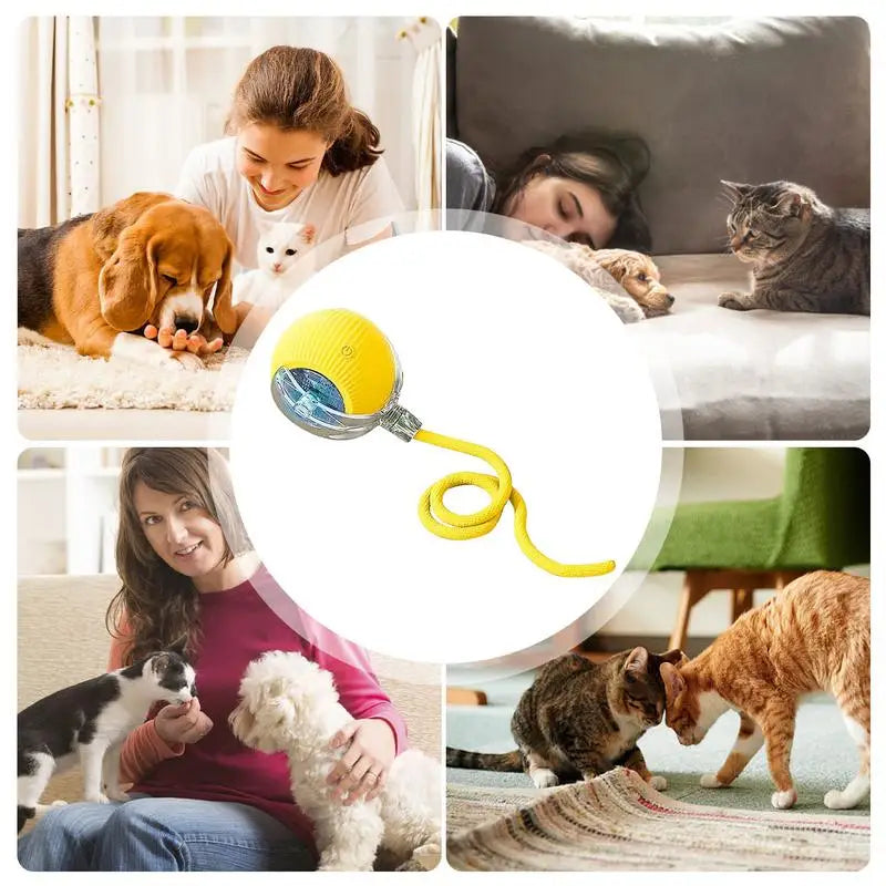 Automatic Rolling Ball Cat Interactive Ball Toy With Tail Rechargeable Smart Pet Interactive Toy Intelligent Mouses For Cat