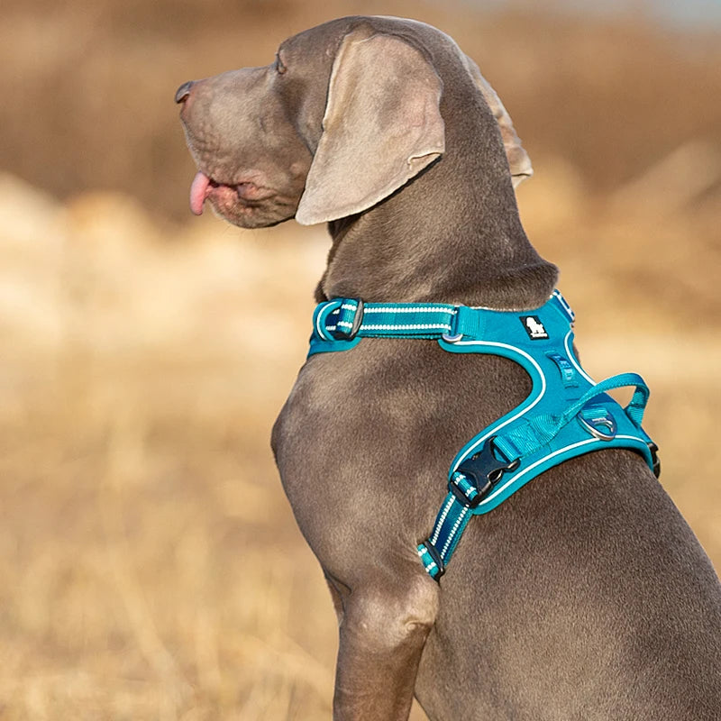 Truelove Pet Harness Nylon Webbing with 3M Reflection Adjutable Aluminum Alloy for Big Medium Small Dog TLH56512