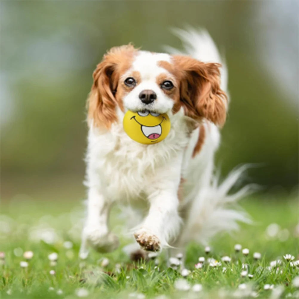 6Pcs Smile Face Squeaky Dog Toys Soft Latex Dog Squeaky Toys Bouncy Cute Face Pet Dog Toys for Small Medium Puppy Pet Dogs