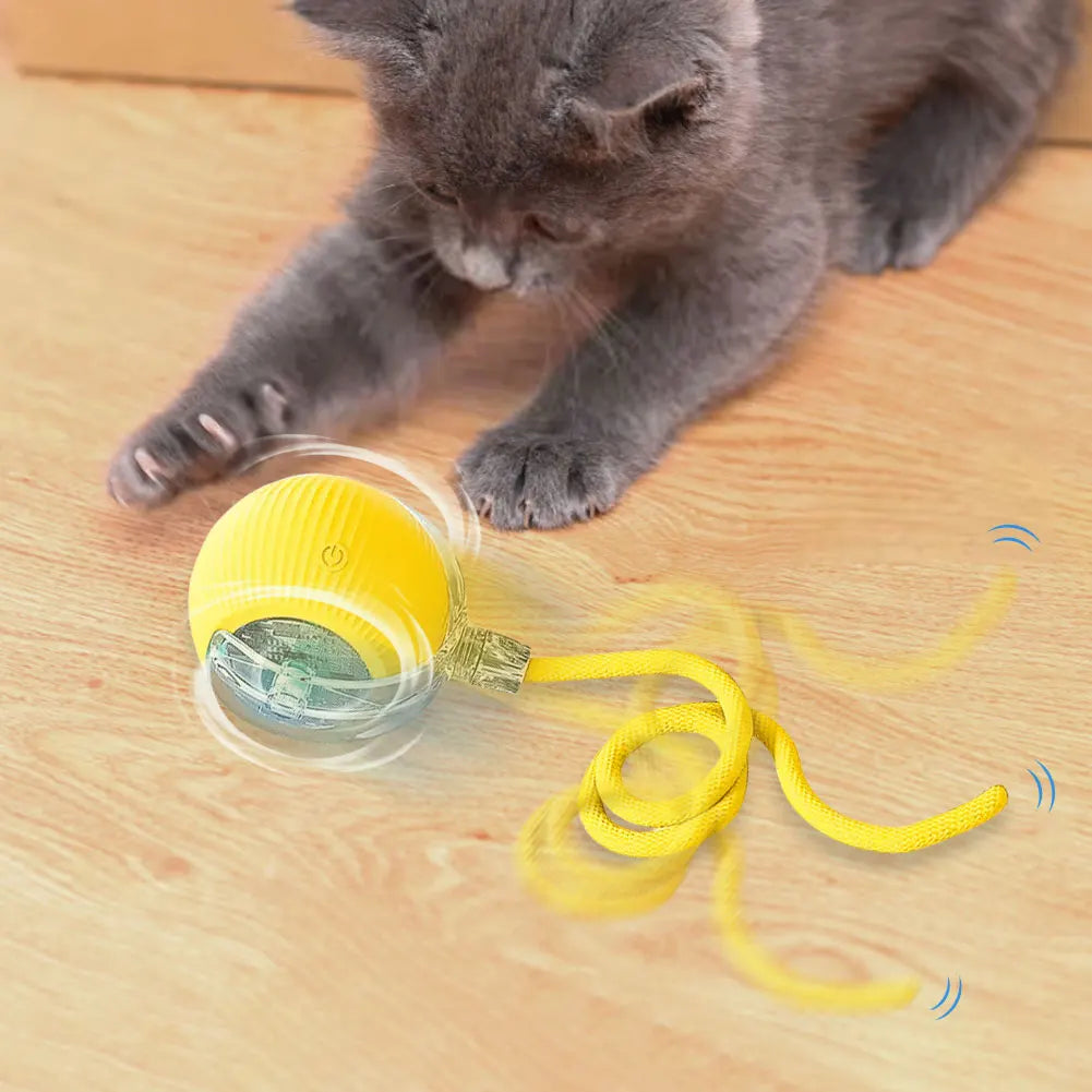 Interactive Cat Toy Ball USB Rechargeable Automatic Rolling Ball Funny Cat Toys Anti-Depression Pet Toy for Indoor Cat Kitten