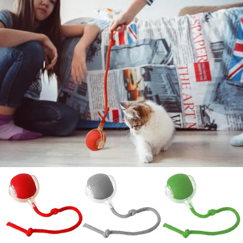 Interactive Dog Toys Rechargeable Pet Interactive Toys Electric Cats Ball Automatic Rolling Fake Tail Ball Dog Cats Toy