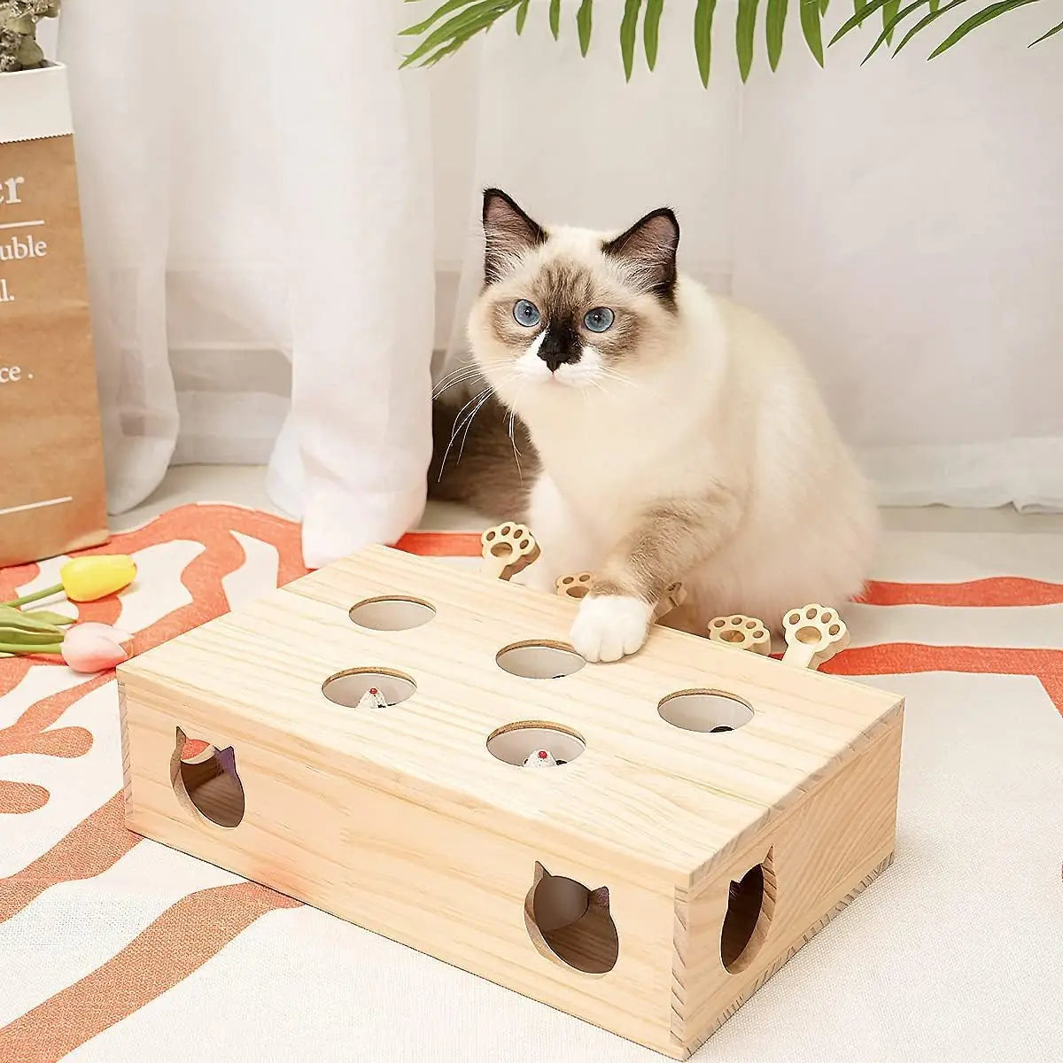 Mewoofun Cat Toys Interactive Whack-a-mole Solid Wood Toys for Indoor Cats Kitten Catch Mice Game