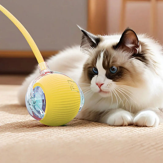 Interactive Cat Toy Ball USB Rechargeable Automatic Rolling Ball Funny Cat Toys Anti-Depression Pet Toy for Indoor Cat Kitten