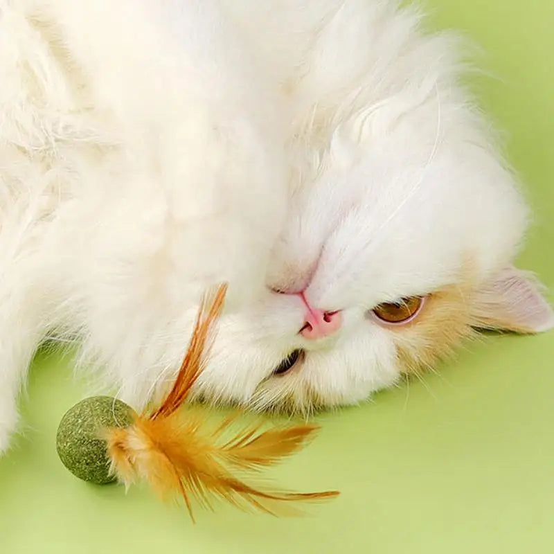 Cat Toys Catnip Kitten Catnip Feather Ball Interactive Natural Lollipop Natural Cat Kicker Feathers Design Cat Teeth Cleaning