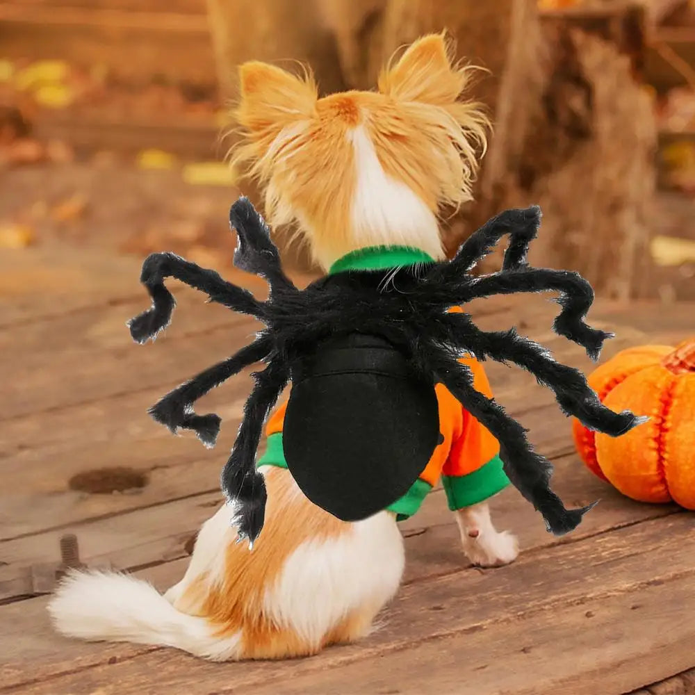 Halloween Pet Spider Costume Simulation Black Spooky Spider Clothes Dressing For Dogs Cats Party Cosplay Props Funny Outfit