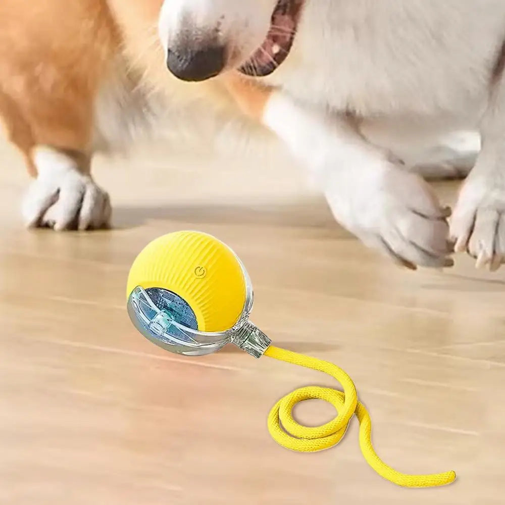 Automatic Rolling Ball Cat Interactive Ball Toy With Tail Rechargeable Smart Pet Interactive Toy Intelligent Mouses For Cat
