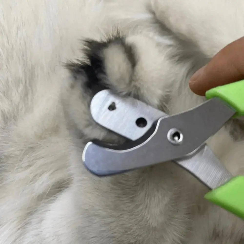 Professional Cat Nail Clippers for Small Cat Dog Stainless Steel Puppy Claws Cutter Pet Nail Grooming Clippers Trimmer