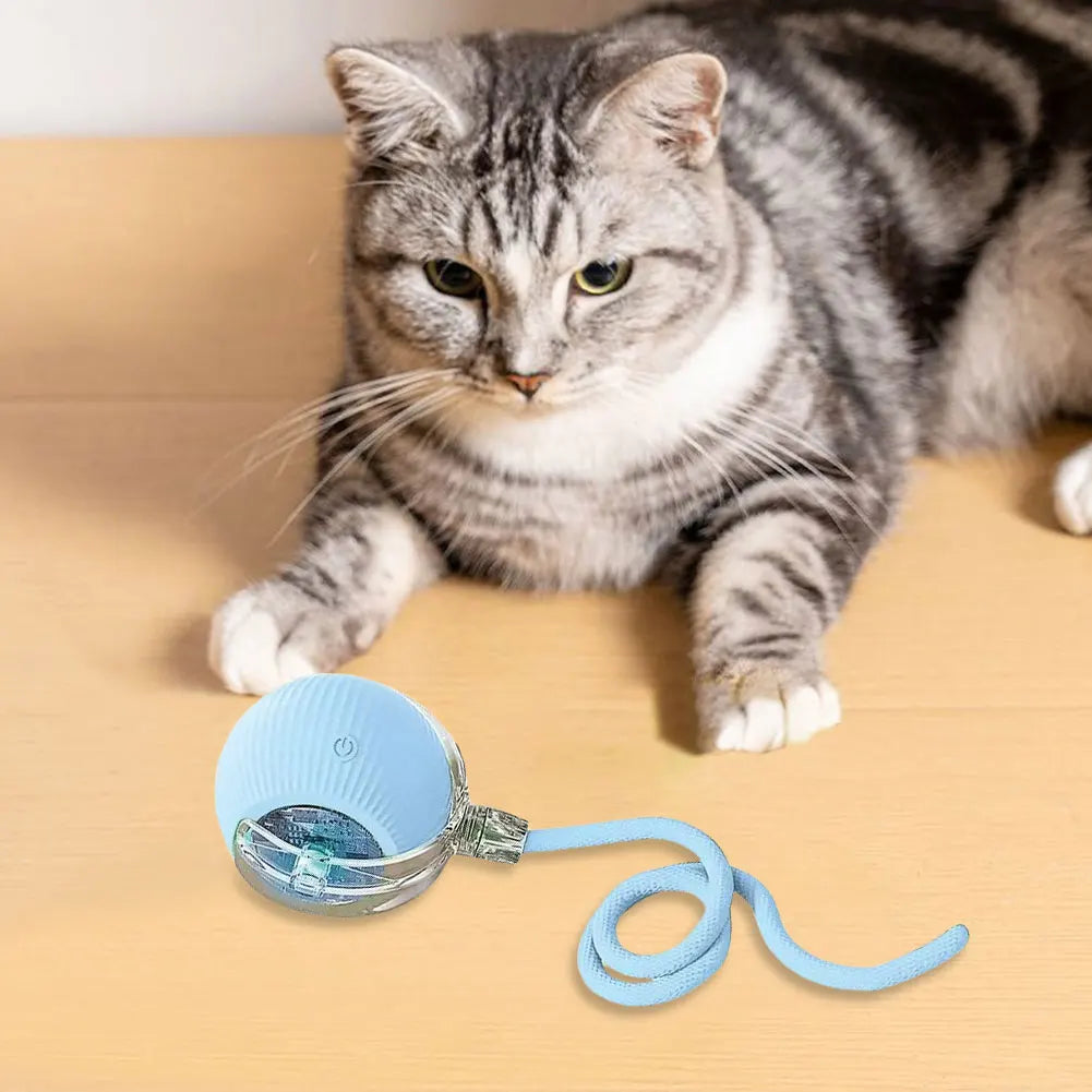 Interactive Cat Toy Ball USB Rechargeable Automatic Rolling Ball Funny Cat Toys Anti-Depression Pet Toy for Indoor Cat Kitten